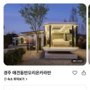 하도대5길 04 | 경주 애견동반 숙소 오리온카라반A2 솔직후기❤️