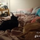 조은옷방