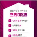 리슈빌DS 이미지