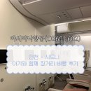 꿈의 비행 | [아기와 호주여행]아시아나항공 OZ601/602편 아기 기내식, 베시넷 장거리 비행 후기