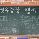 무릉법흥로 | 여름계곡캠핑은 영월상우농장캠핑장이 답이다~ 장단점 솔직후기!!