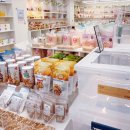 패러그린 이미지