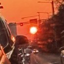 주정차29 | 거제 가볼만한곳 거제도 매미성 주차부터 포토존까지 솔직후기