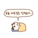 라차차 이미지
