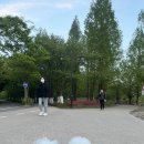 댕댕이모 네이버블로그
