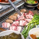 산청흑돼지 티스토리