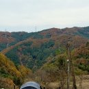 산으로 캠핑장 | 가평 애견동반캠핑 산으로간니모 캠핑장 0단 후기