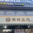 또간집 행신동삼겹살맛집 저녁외식 하마고기 행신점