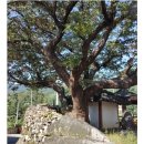 기성리마을회관 이미지