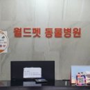 윤쌤동물병원 이미지