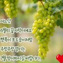 서경사진