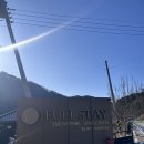 자연속의 펫 | 강원 홍천 풀스테이 스테이펫 방문 후기🐾✨