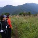 영남상회 이미지