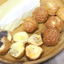 [책 리뷰] 과식의 종말 (3)- 치료 이론