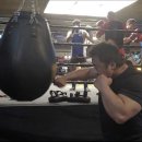 데일리 복싱 이미지