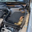 유일광택 이미지