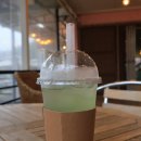 웅도 하우's 펜션 | 내돈내산 부천애견놀이터 [코코애견카페] 애견동반카페 애견카페 이용후기