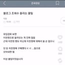 신가부식
