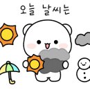 샌드비(SandB) 이미지