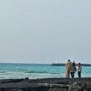 풍차와노을 이미지