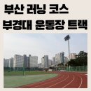 운동장길L 네이버블로그