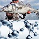 (주) 엔슈어 이미지