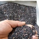 제석정미소 이미지