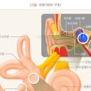 어지럼증 이석증 증상 원인 치료법 이미지