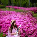 화랑마을-4 이미지