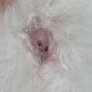 상일 쓰담쓰담 동물병원 이미지