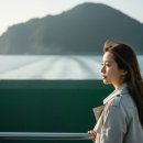 마창정비 | 마산 돝섬 해안 숲길, 직접 다녀온 솔직 후기