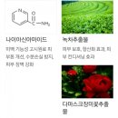 타임솔루션