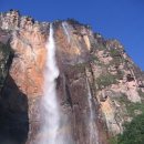 글로케스 이미지