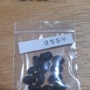 토종동부콩 2종 발송 이미지