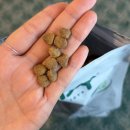 유카라이프 | 고양이사료추천 , [오아지] 라이프스테이지 어덜트 치킨