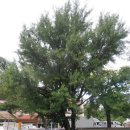 내촌초등학교 이미지