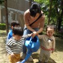 통큰딱따구리 이미지