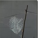 바지랑대 이미지