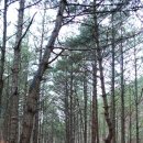 대성마을회관 - 1409 | 대성마을회관