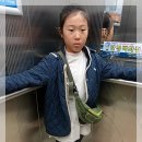 여주-1106 이미지