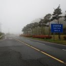 목사동면사무소 | 비를 피해 달린 일요일