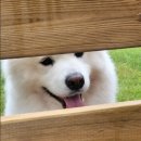 Mong9Mong9Haus 이미지