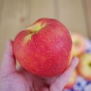 (주)송현 이미지