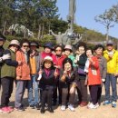 위천초등학교 Daum카페