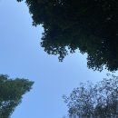 로얄무도장 | 202306261004