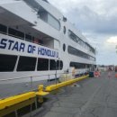 신행농장 이미지