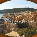 선궁주
