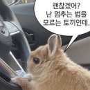 천점만씨건물 | [아기 천기저귀 사용추천후기] 3종 비교 세탁방법 아마존직구 천기저귀 기저귀커버
