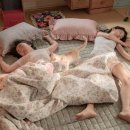 <b>소울메이트</b> 정보 줄거리 솔직 후기