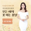 허니댕댕 이미지